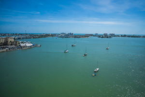 Florida Room View1