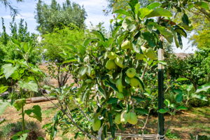  Photo 46