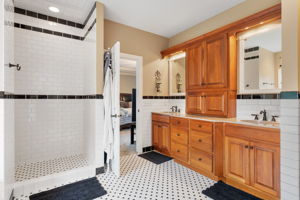 Main BR Walk-In Shower