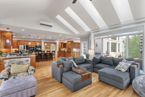 Family Room Skylights