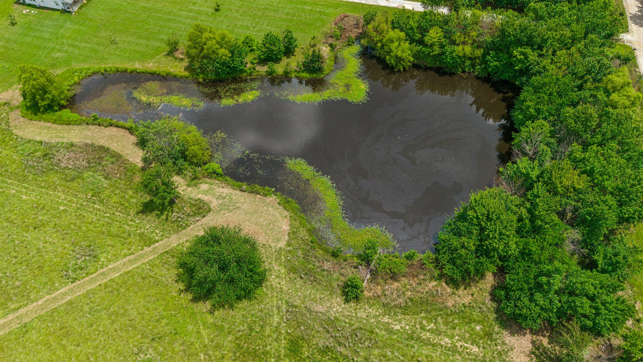 DJI_20260605125617_0131_D.jpg