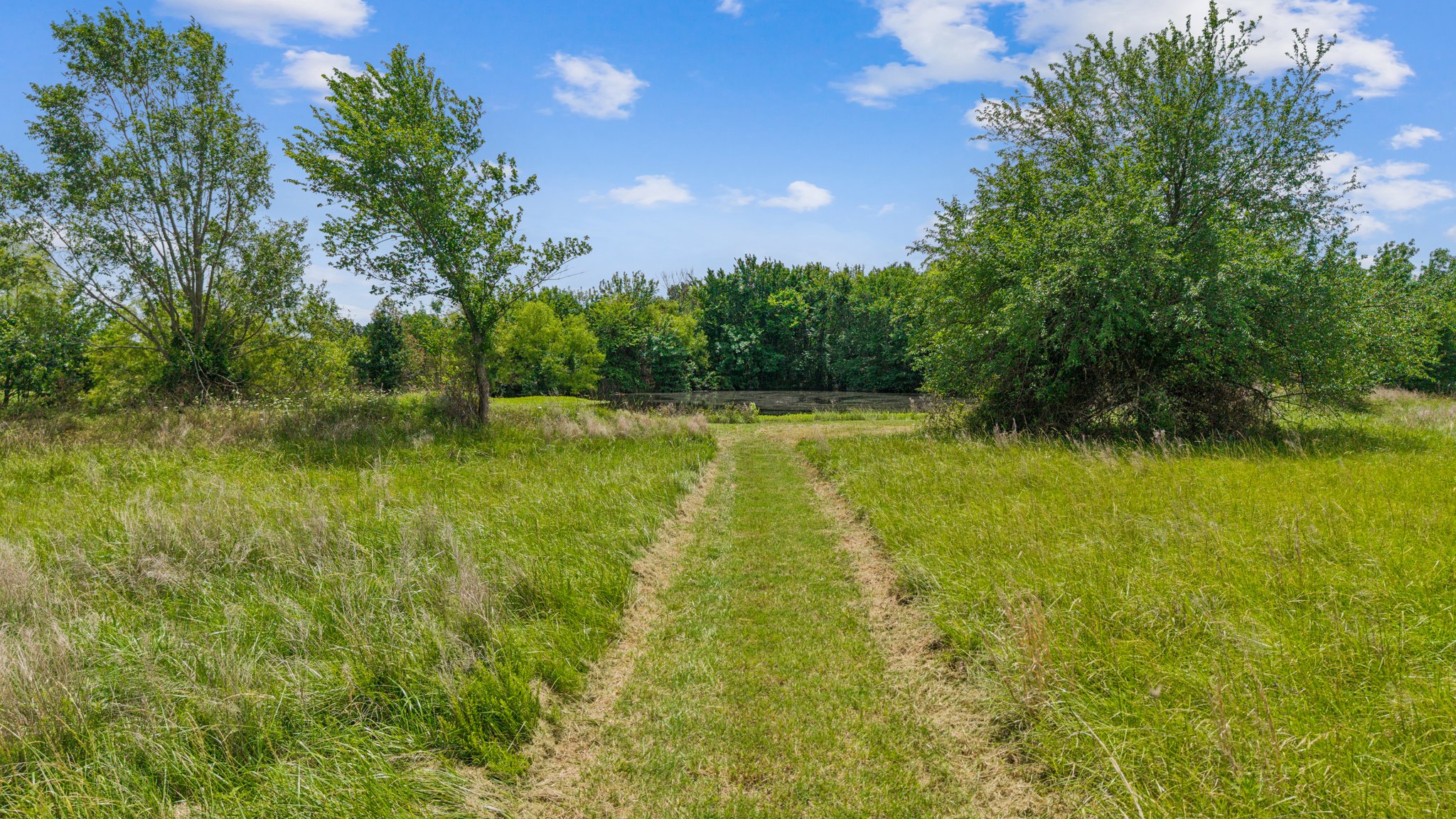 DJI_20260605125639_0134_D.jpg