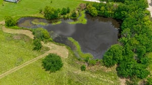 DJI_20260605125617_0131_D.jpg