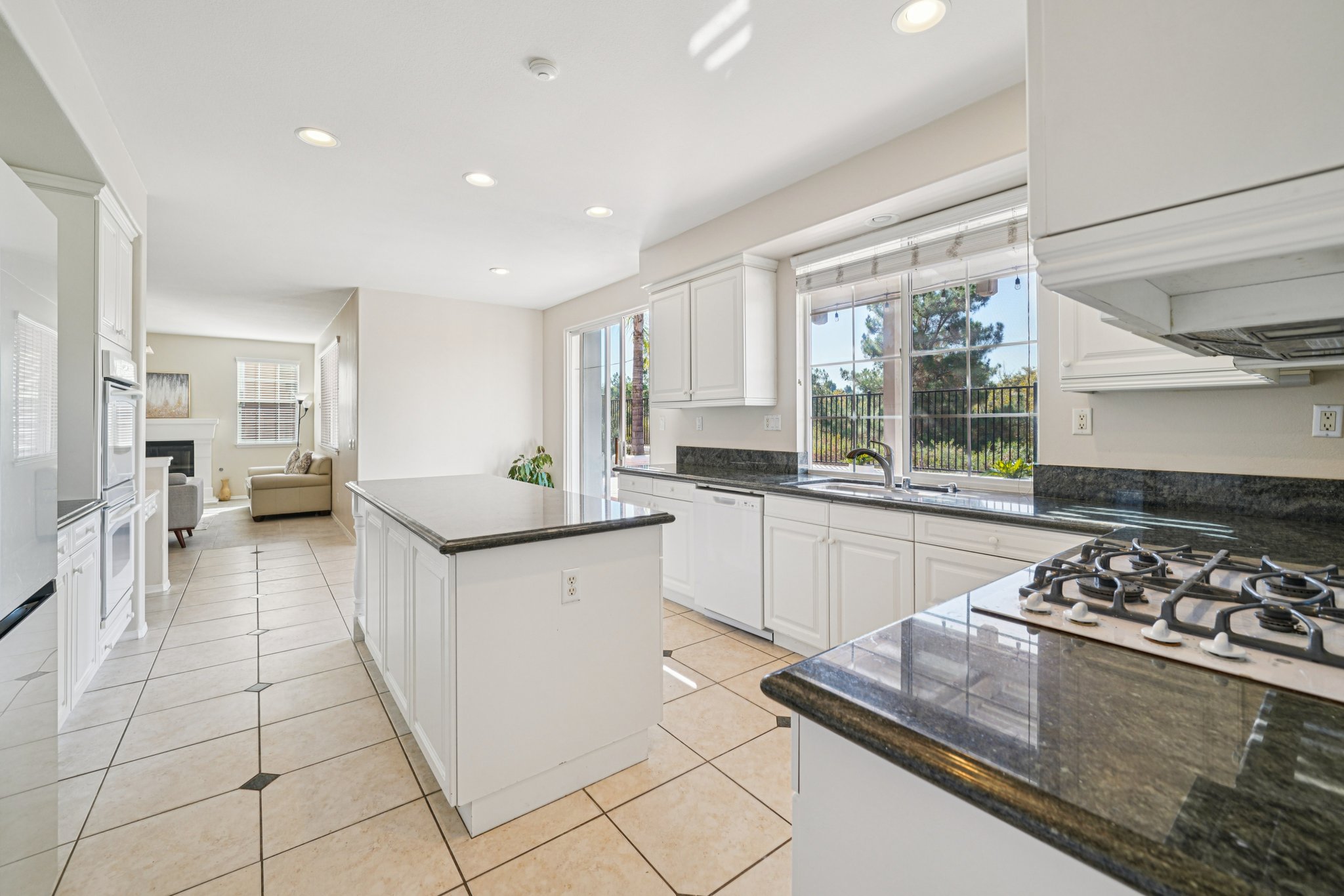 Tiburcio Dr-S0611-023.jpg