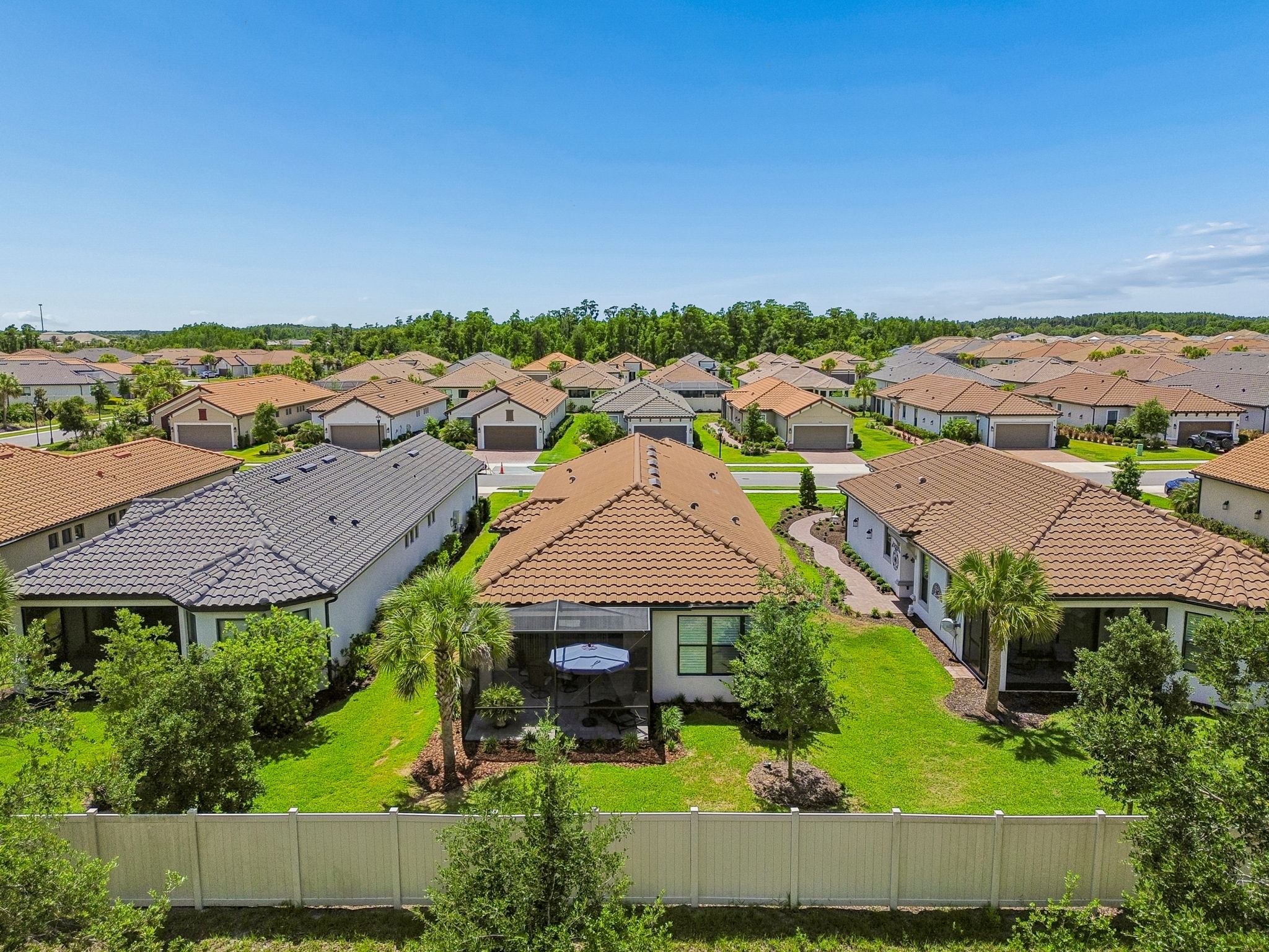 DJI_0221