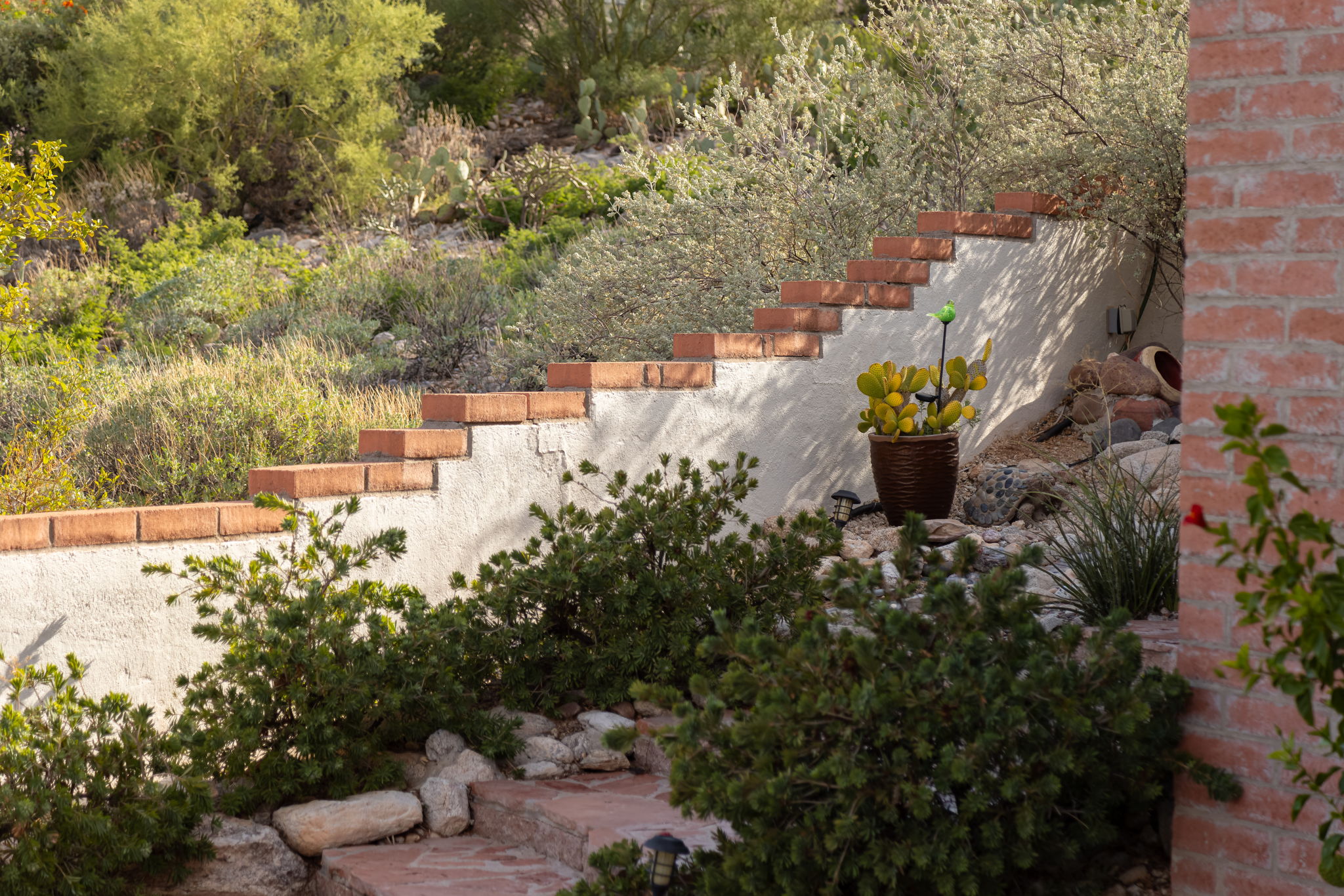Front landscaping