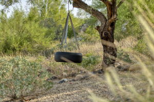 Tire Swing!
