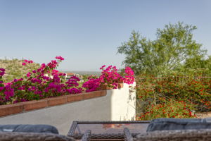 Lush front landscapinh