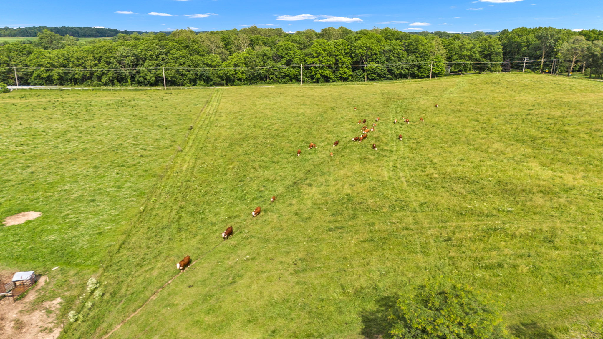 Pasture and grassland