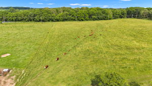 Pasture and grassland