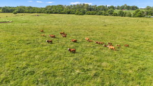 Pasture and grassland