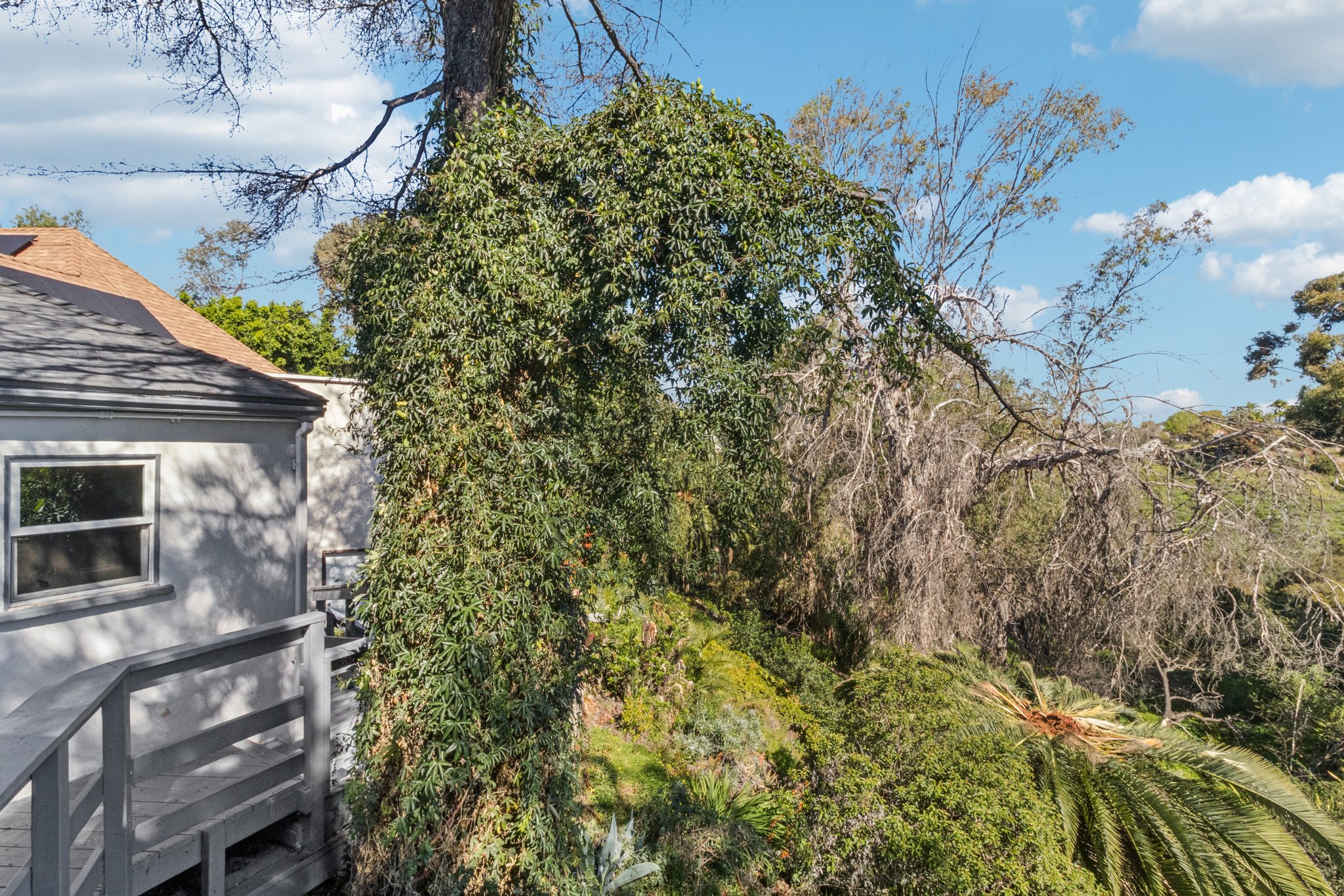 45th St-S2802-029.jpg