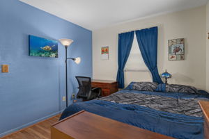  Photo 43