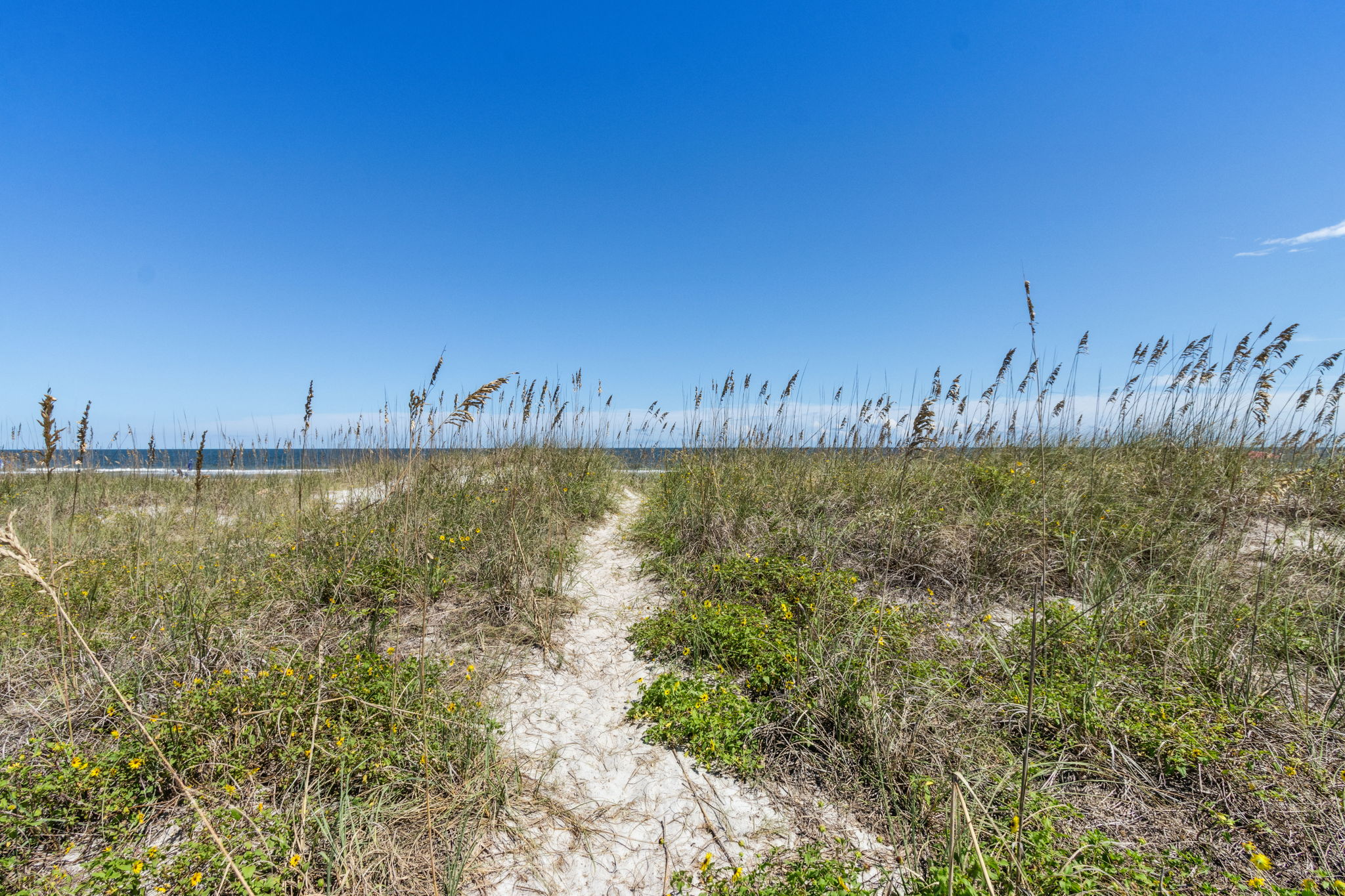 Private Beach Access