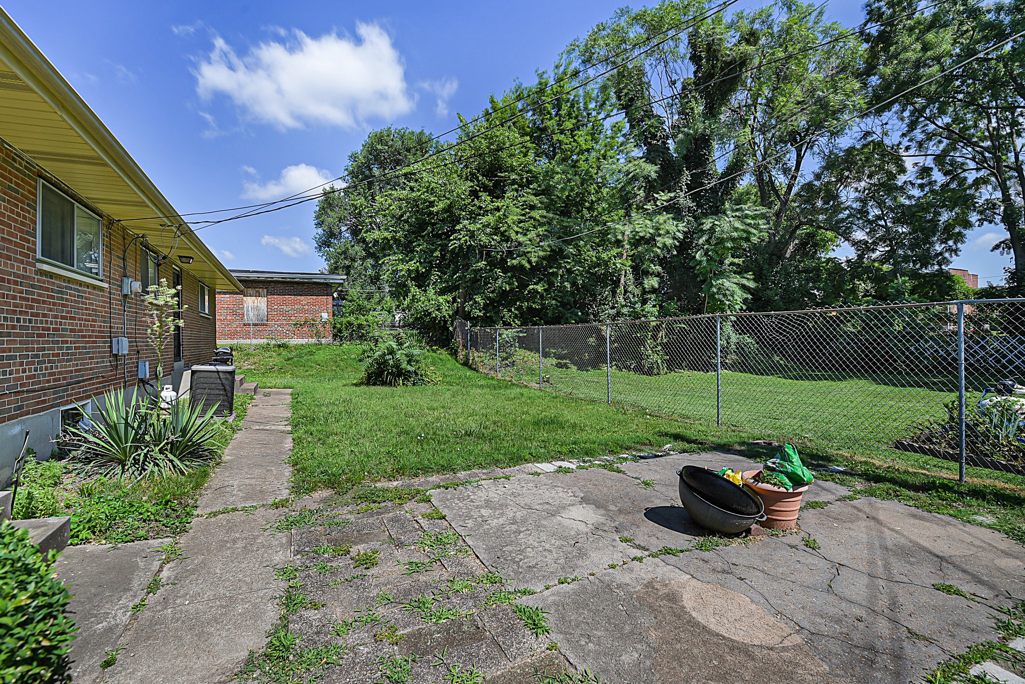Back Yard