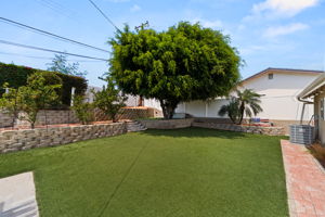  Photo 33