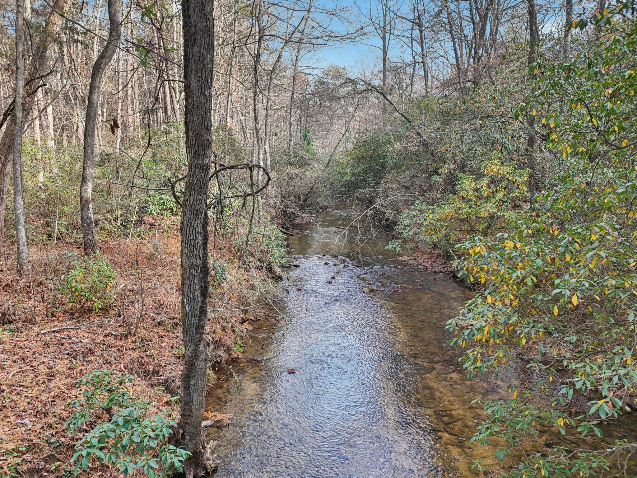 Clear Creek Rd-S1411-048.jpg