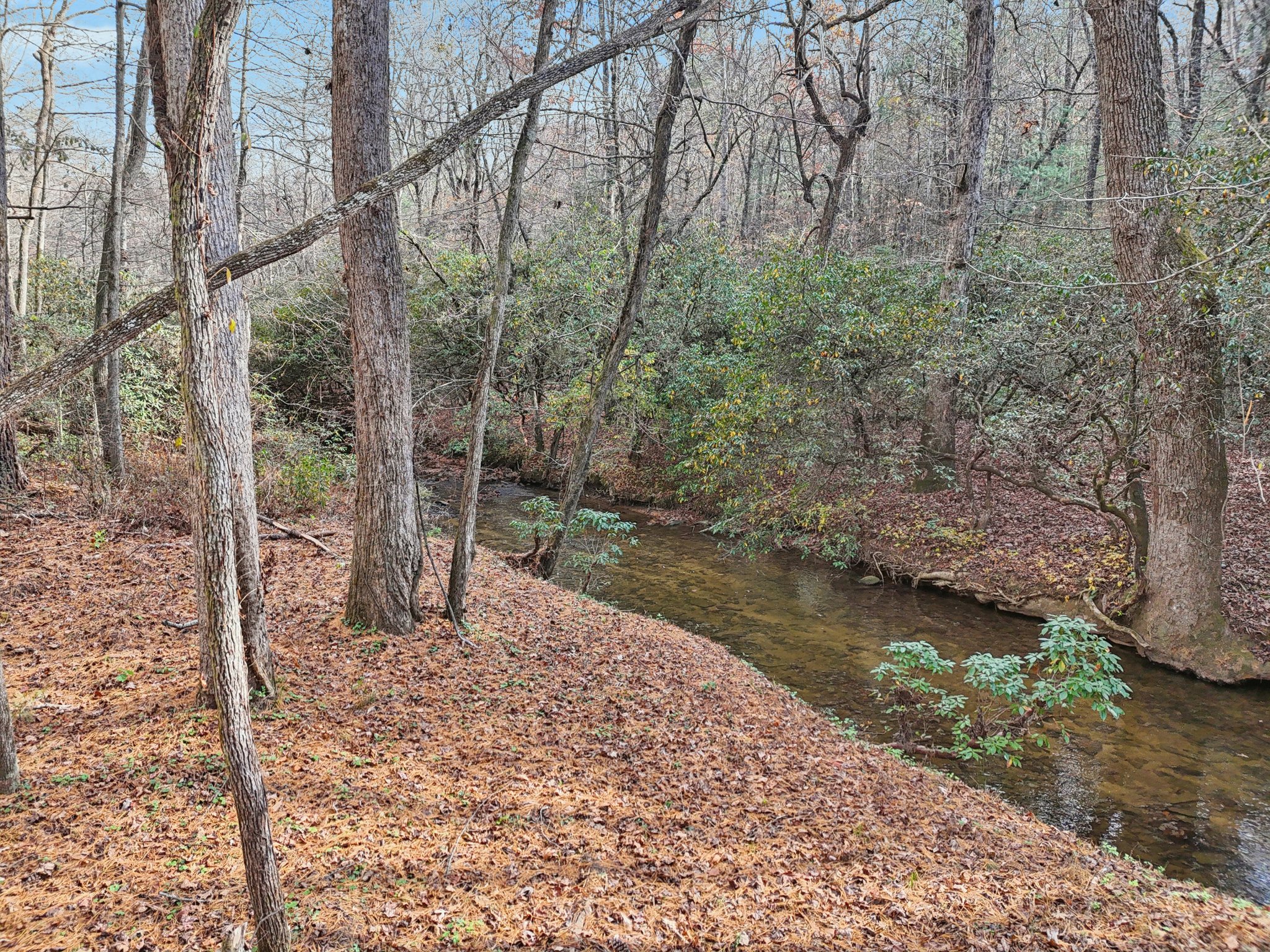 Clear Creek Rd-S1411-049.jpg