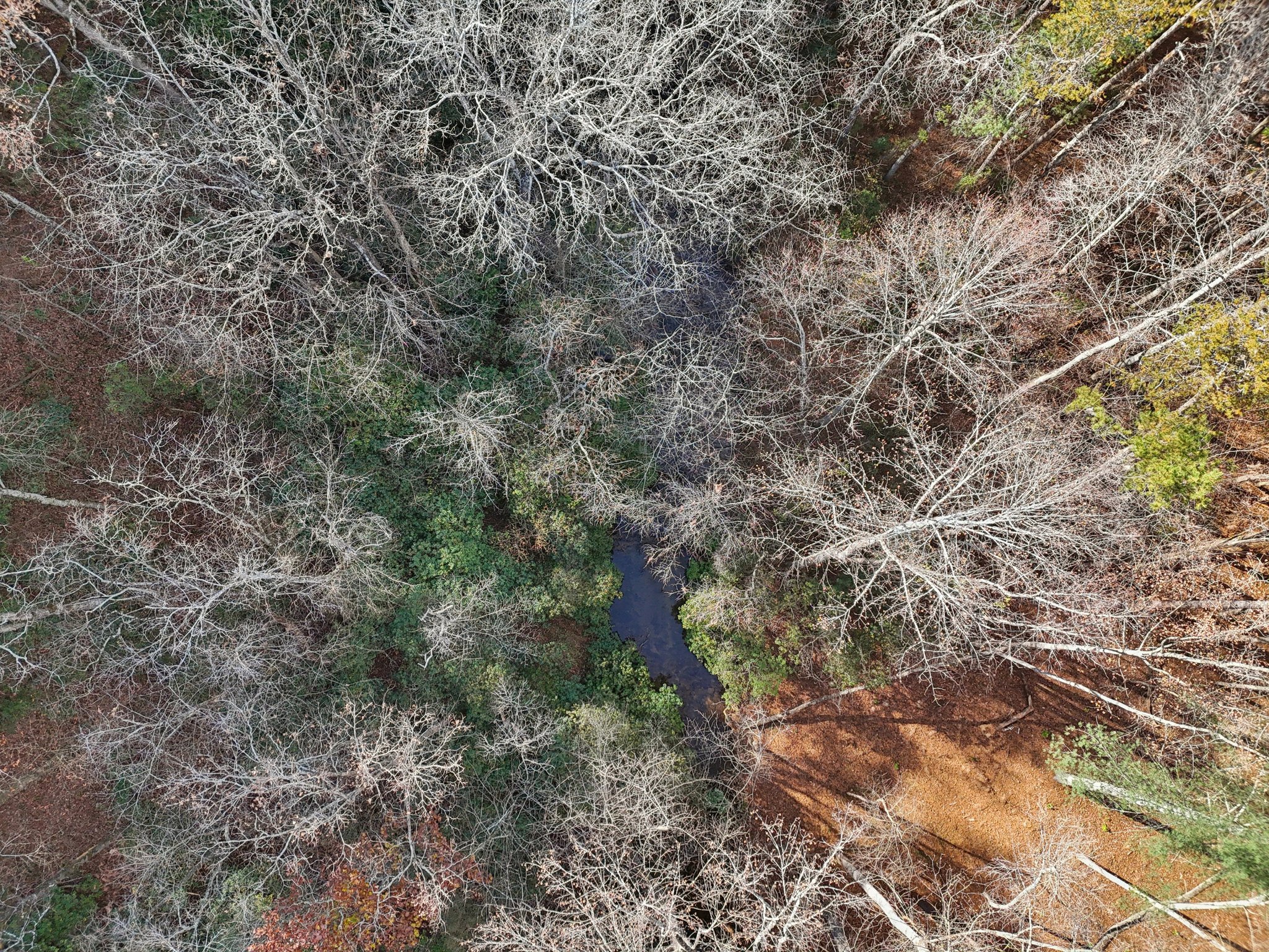 Clear Creek Rd-S1411-052.jpg