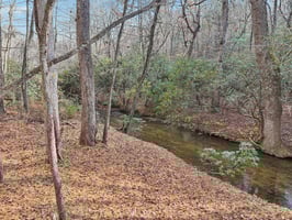 Clear Creek Rd-S1411-049.jpg