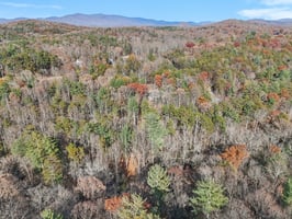 Clear Creek Rd-S1411-053.jpg