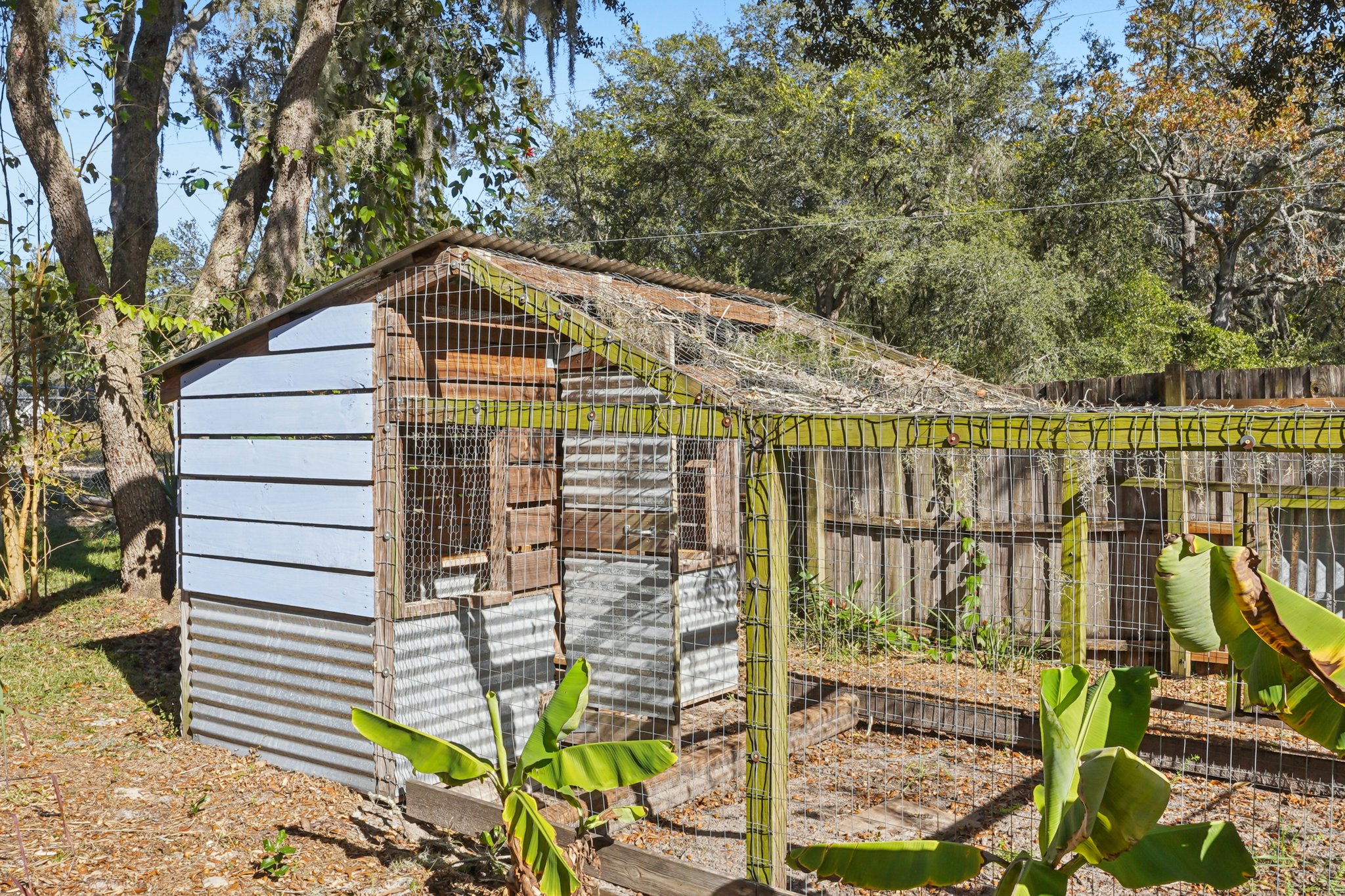 Lemon St-S1712-040.jpg