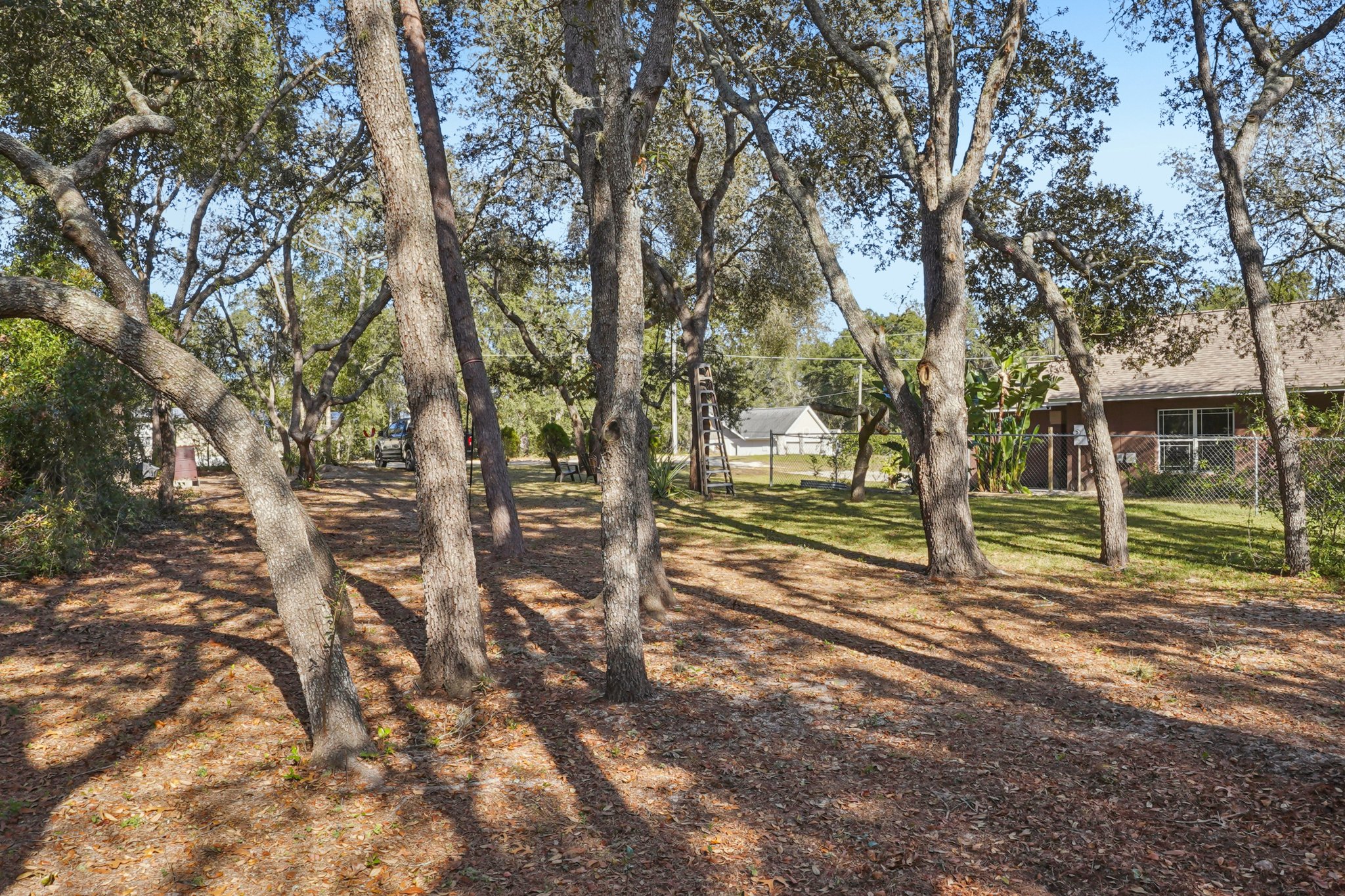 Lemon St-S1712-044.jpg