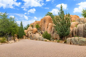Grounds_ 3