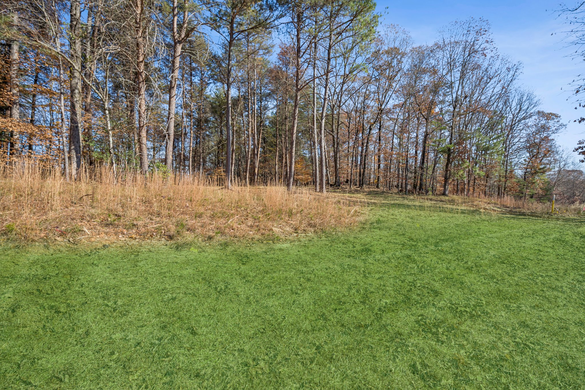 Local_Flavor_films-4546 Fawn Path, Gainesville, GA 30506-336.jpg