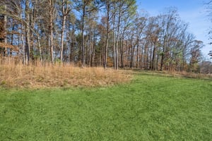 Local_Flavor_films-4546 Fawn Path, Gainesville, GA 30506-336.jpg