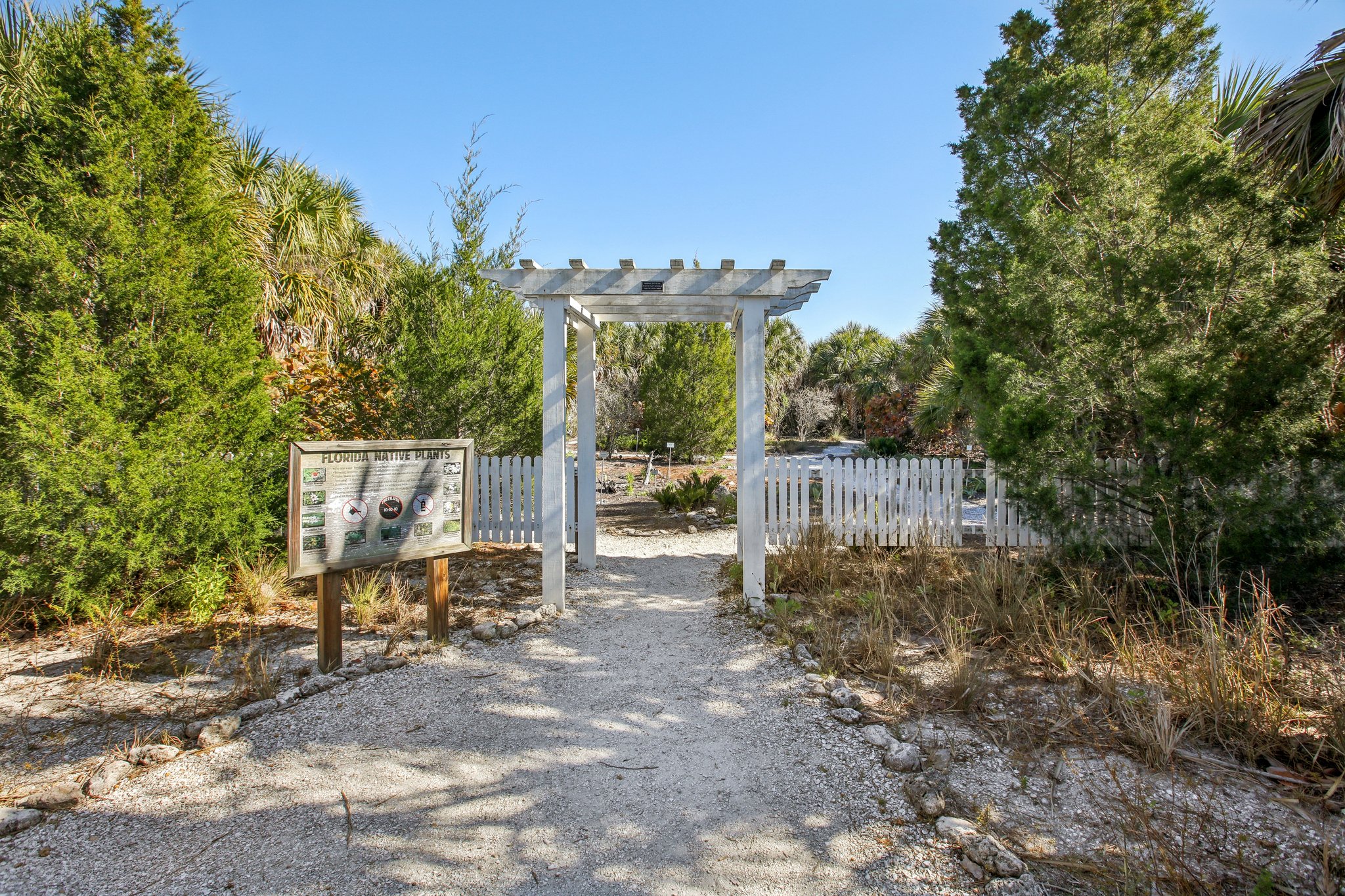 Alt 19 S 42-1102-917.jpg