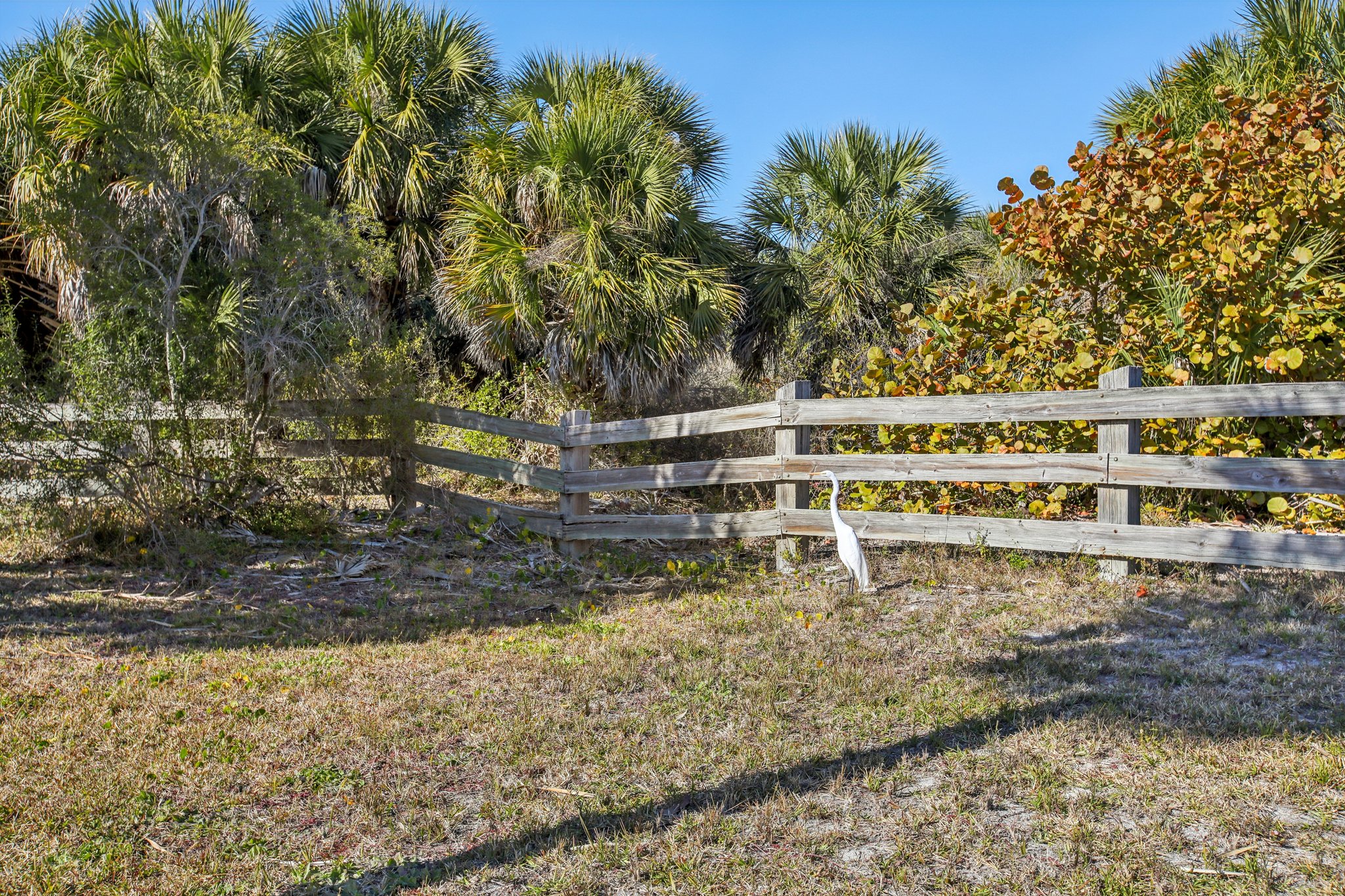 Alt 19 S 42-1102-923.jpg