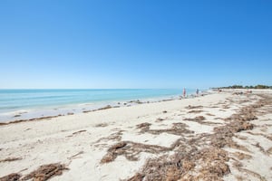 Alt 19 S 42-1102-910.jpg