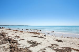 Alt 19 S 42-1102-911.jpg