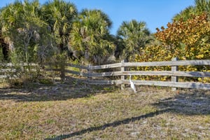 Alt 19 S 42-1102-923.jpg