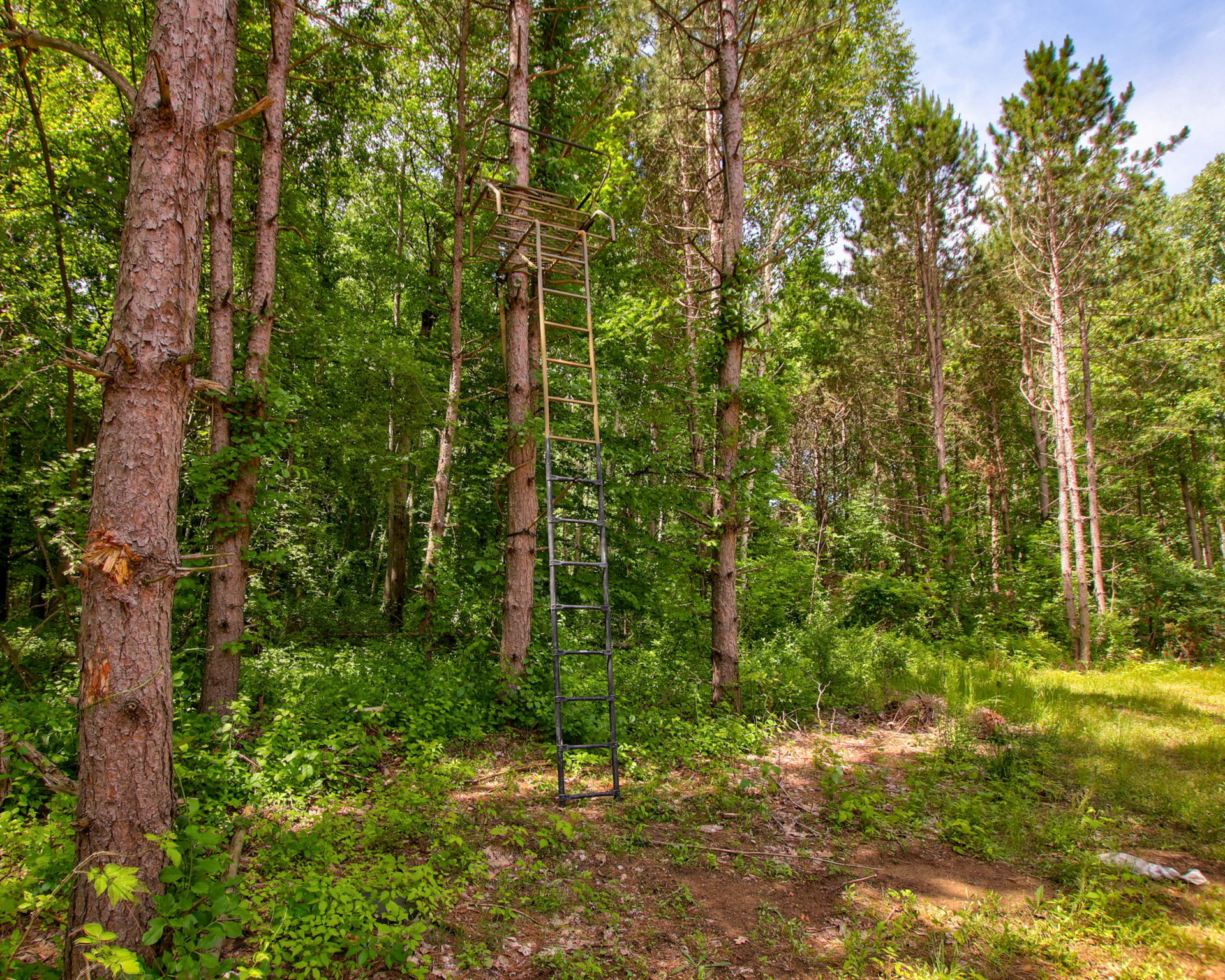  Photo 20