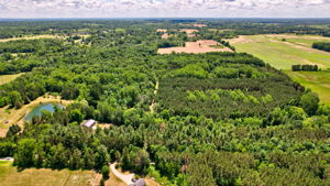  Photo 0