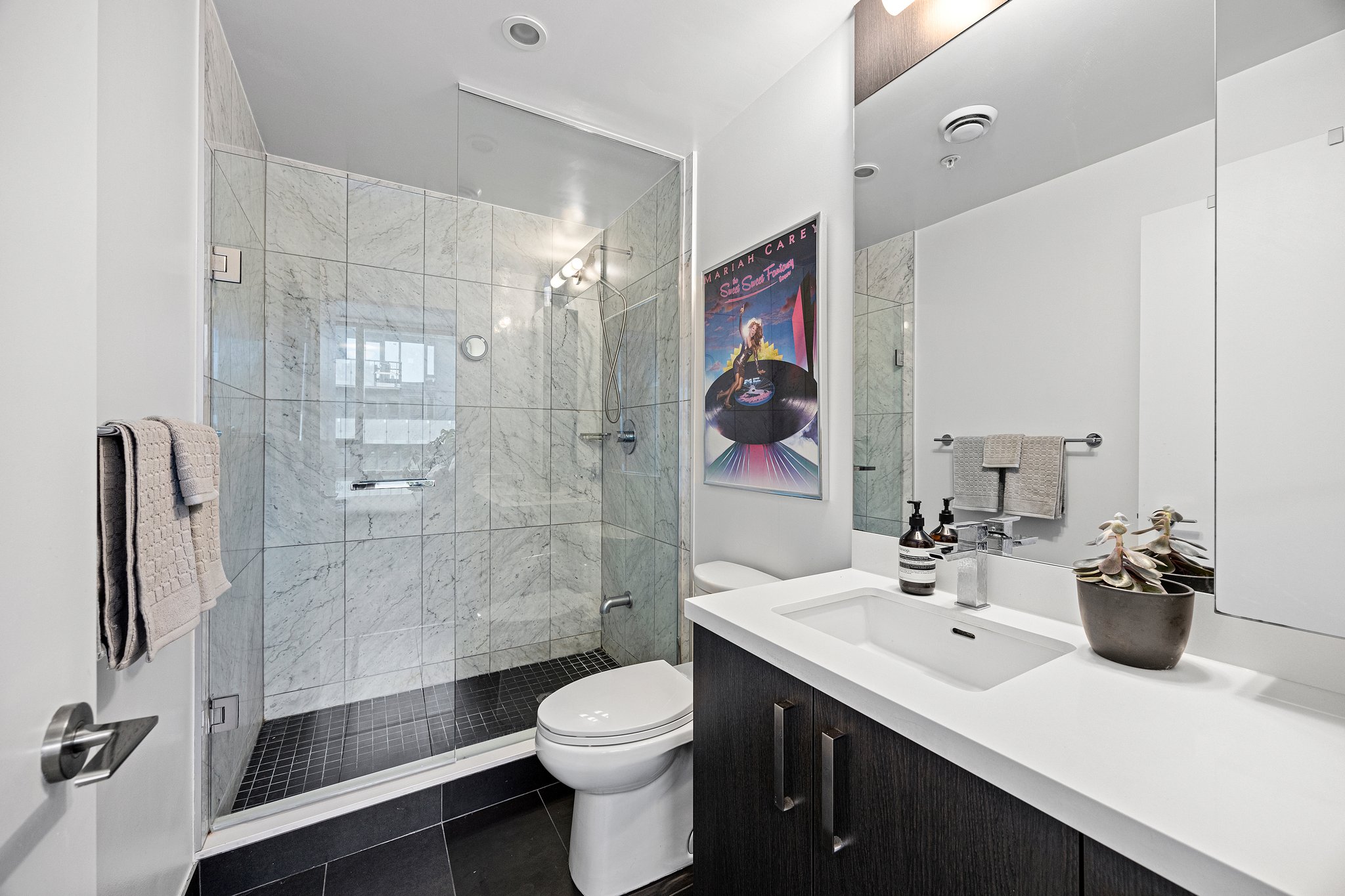 Toronto property showcase — delivered property photograph 12