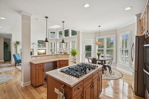 Local_Flavor_Films_455 Long Mountain Ct, Clermont, GA 30527-056.jpg
