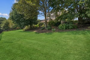 Local_Flavor_Films_455 Long Mountain Ct, Clermont, GA 30527-201.jpg