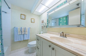 Primary Bathroom 1a