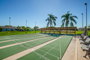 Shuffleboard