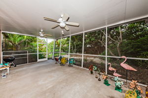 Patio 1