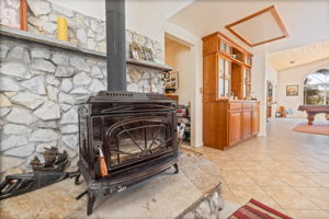 Fireplace Detail