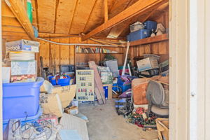 Lower Shed