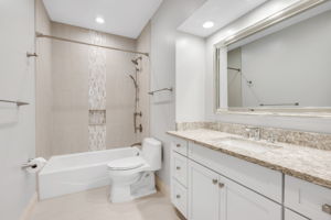 Guest Bathroom 2