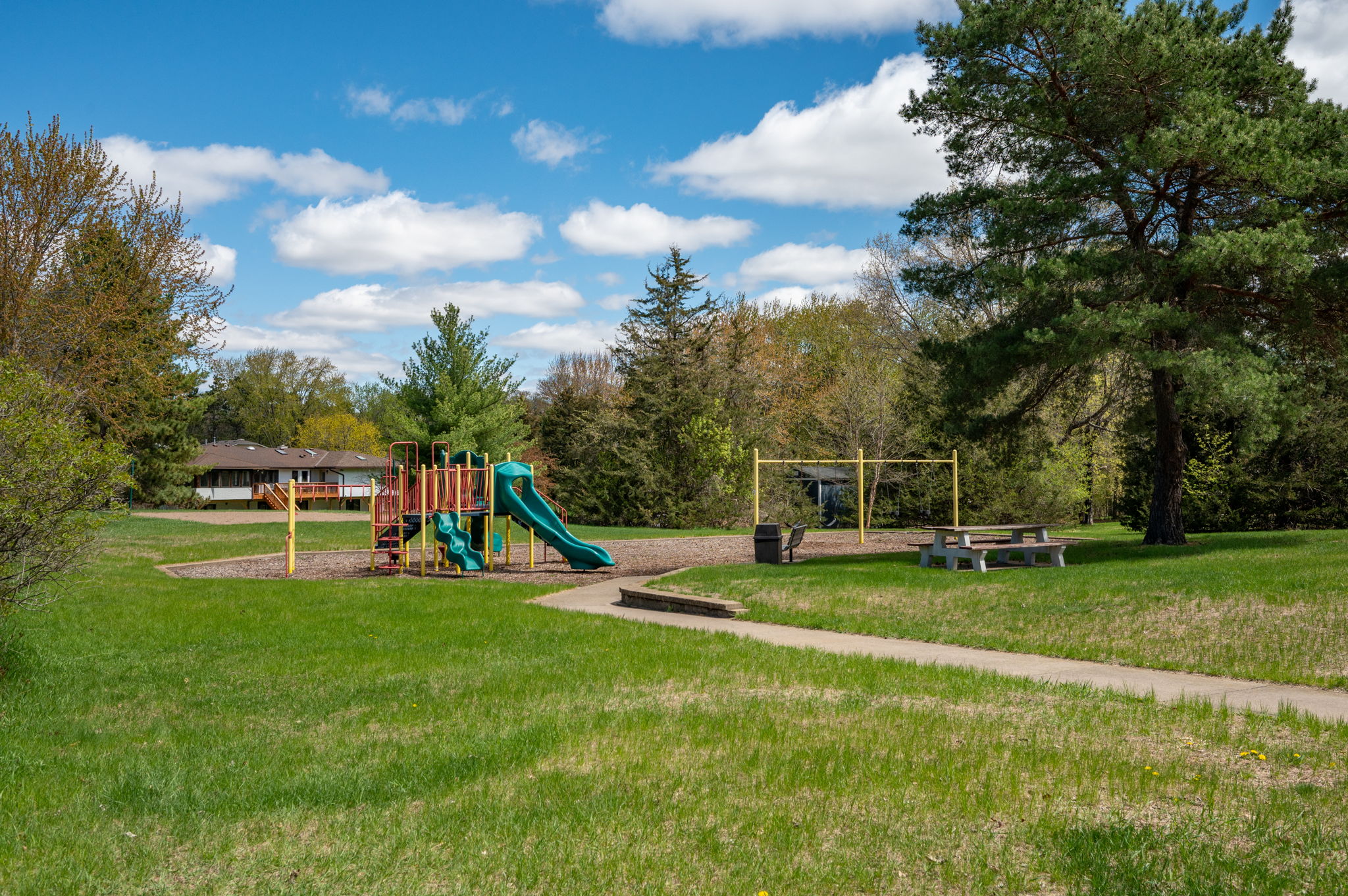  Photo 41