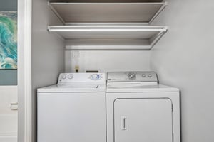 Larkbunting Dr 2A-S1206-015.jpg