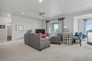 Finished Basement