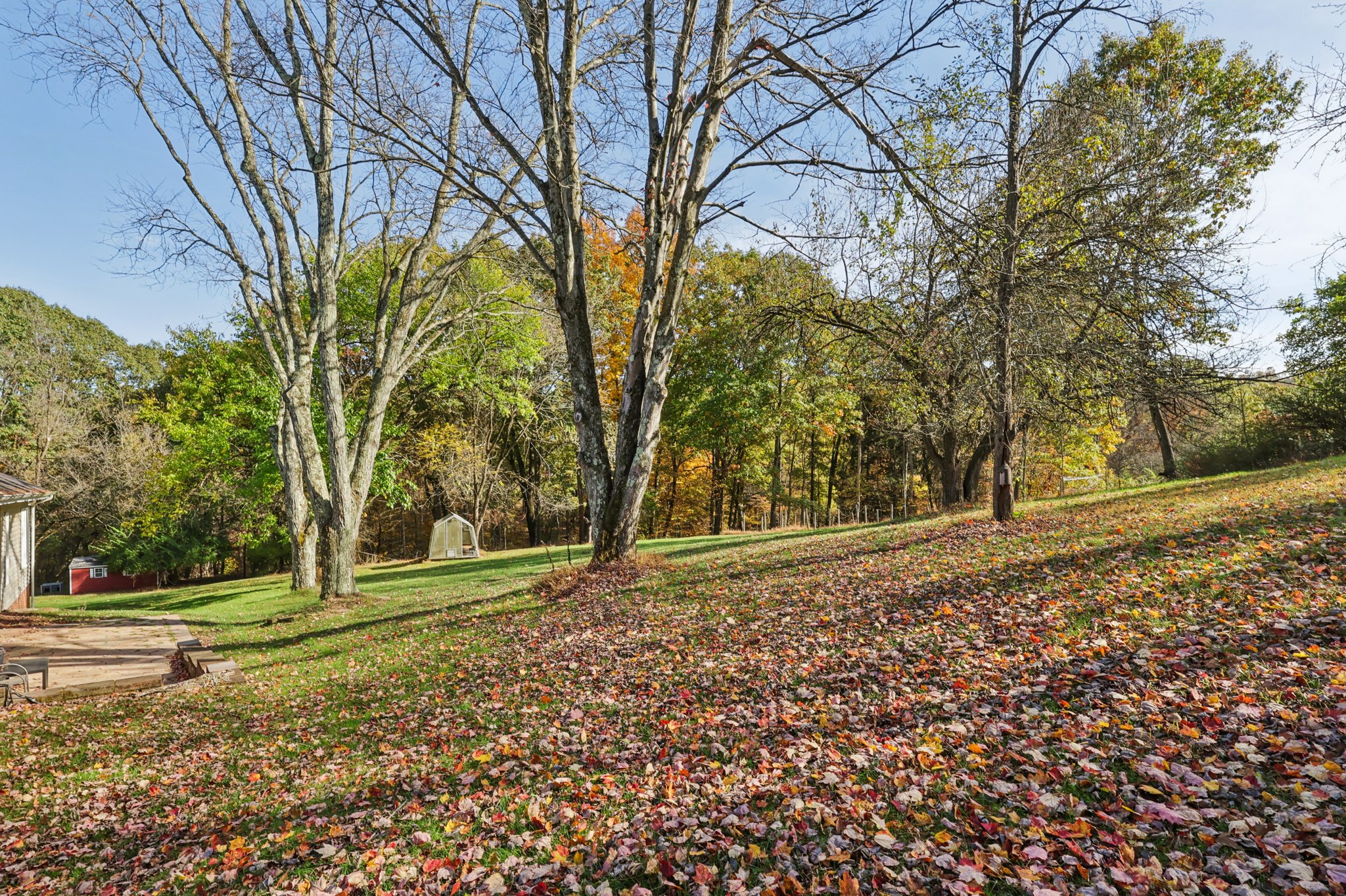 School Rd-S2810-046.jpg